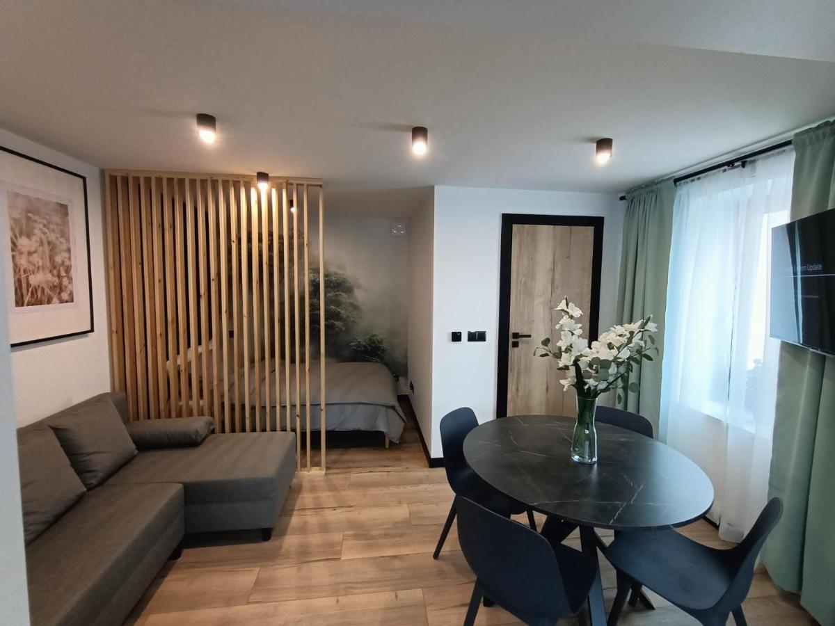 凯尔采Apartament Janowskiego Klimatyzacja, Air Conditioning, Ground Floor, Parking, Parter, Cisza I Spokoj, Quiet And Pleasant, Idealny Na Odpoczynek Perfect For Rest公寓 外观 照片