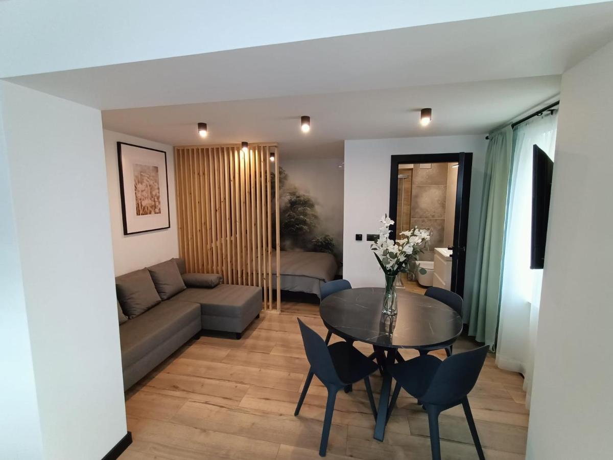 凯尔采Apartament Janowskiego Klimatyzacja, Air Conditioning, Ground Floor, Parking, Parter, Cisza I Spokoj, Quiet And Pleasant, Idealny Na Odpoczynek Perfect For Rest公寓 外观 照片